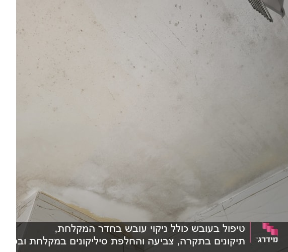 תקרה עם סימני רטיבות ועובש בפינות